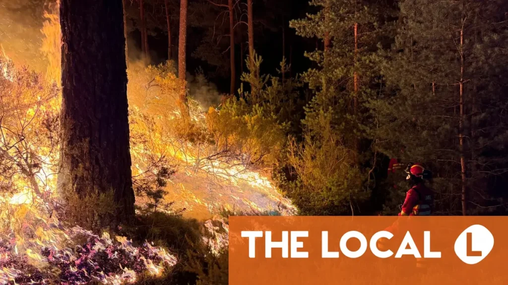 Evacuees from Spain’s huge wildfire struggle with scale of devastation Evacuees from Spain's huge wildfire struggle with scale of devastation