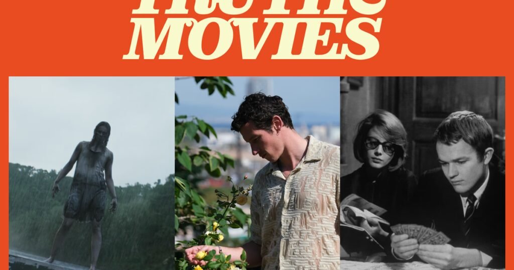 Evil Dead Burn | Rosebush Pruning | Fists in His…