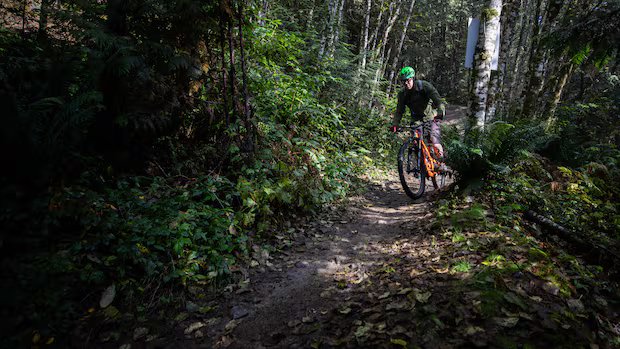 Fatal crash on Fernie, B.C., mountain bike trail shocks riding community Fatal crash on Fernie, B.C., mountain bike trail shocks riding community