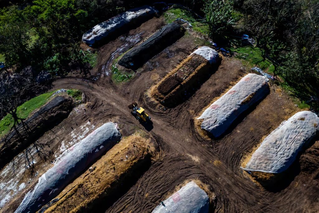 Florianópolis, the Brazilian city that wants to eradicate waste | International
