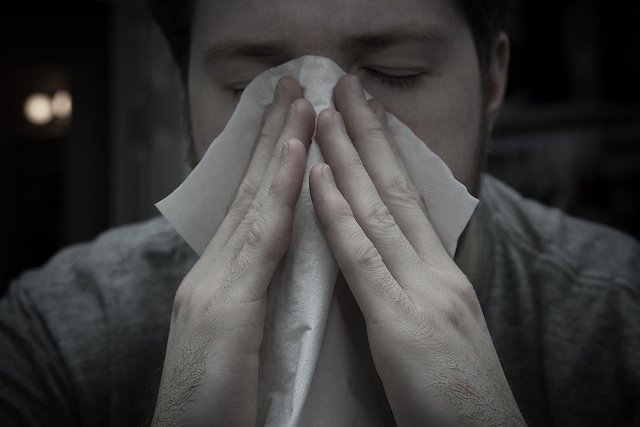 How Diagnostic Precision in Allergy Care Supports Mental Well-Being How Diagnostic Precision in Allergy Care Supports Mental Well-Being