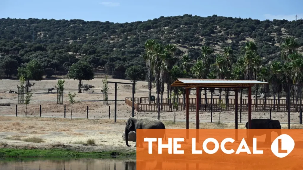 How safari park animals grazed calmly amid Spain’s ‘terror’ of fire How safari park animals grazed calmly amid Spain's 'terror' of fire