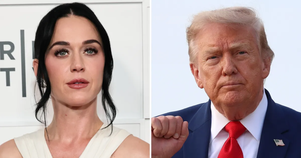 Katy Perry Slams Trump WH for Using 'Firework' in New Video