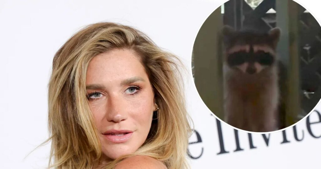 Kesha Loses Fight to Raccoon Refusing to Leave Her Home