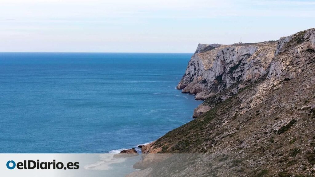 La reserva marina de la Comunitat Valenciana donde se pueden avistar delfines en libertad La reserva marina de la Comunitat Valenciana donde se pueden avistar delfines en libertad
