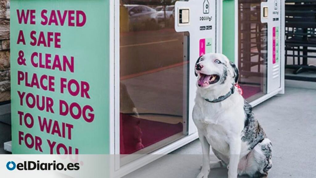 Las casetas para perros llegan a supermercados alemanes para evitar una práctica que en España puede acarrear fuertes multas Las casetas para perros llegan a supermercados alemanes para evitar una práctica que en España puede acarrear fuertes multas