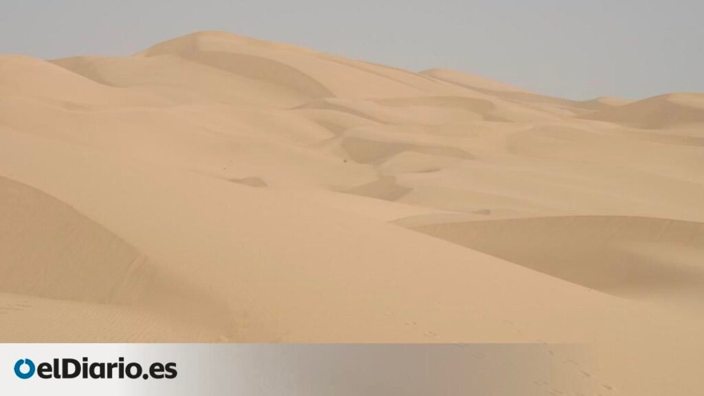 Las dunas de California retroceden a gran velocidad y la pérdida deja ecosistemas en una situación vulnerable Las dunas de California retroceden a gran velocidad y la pérdida deja ecosistemas en una situación vulnerable
