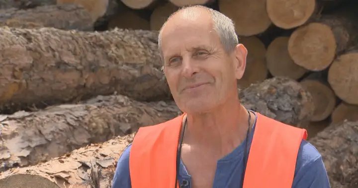Manitoba logging industry threatened amid raging wildfires – Winnipeg Manitoba logging industry threatened amid raging wildfires - Winnipeg