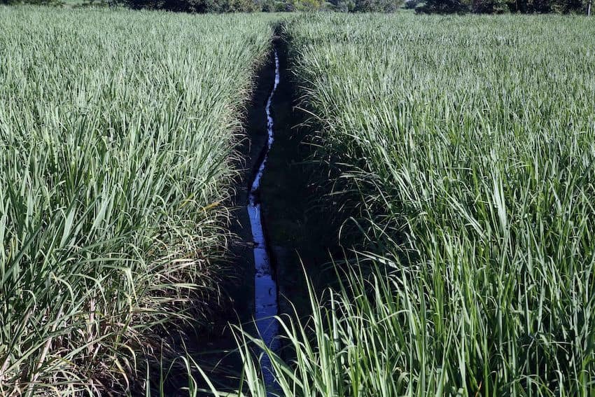 Mexico’s sugar exports to US set to jump 512% under new deal Mexico's sugar exports to US set to jump 512% under new deal