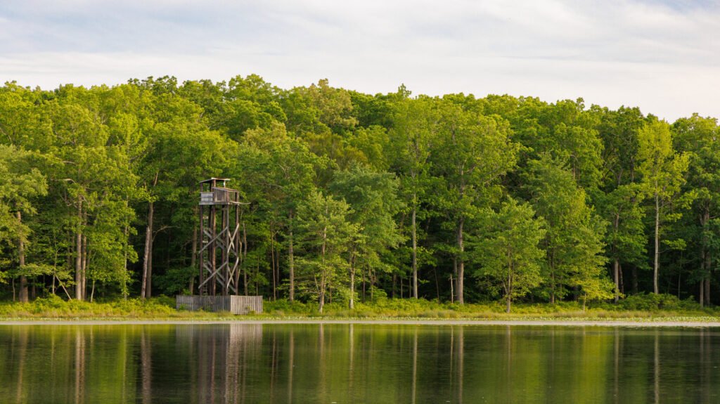 NASA Transfers Ownership Of Maryland Woodland To The US Fish And Wildlife Service NASA Transfers Ownership Of Maryland Woodland To The US Fish And Wildlife Service
