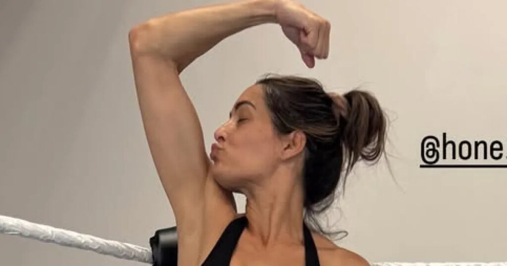 Nikki Bella Shares Health Update After Ankle Injury Nikki Bella Shares Health Update After Ankle Injury