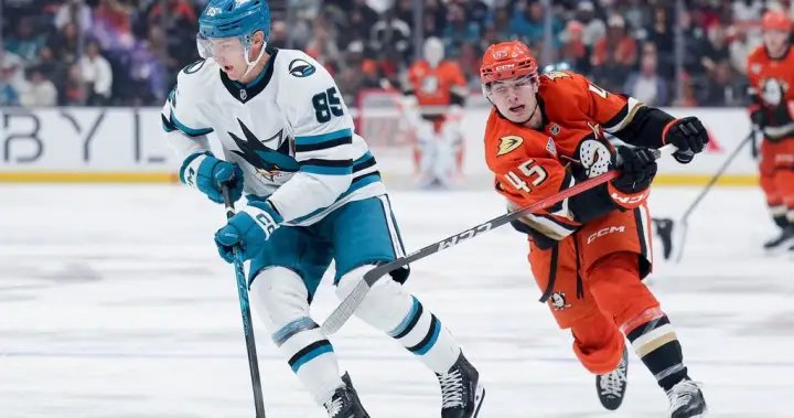 Oilers sign d-men Mukhamadullin, Stastney Oilers sign d-men Mukhamadullin, Stastney