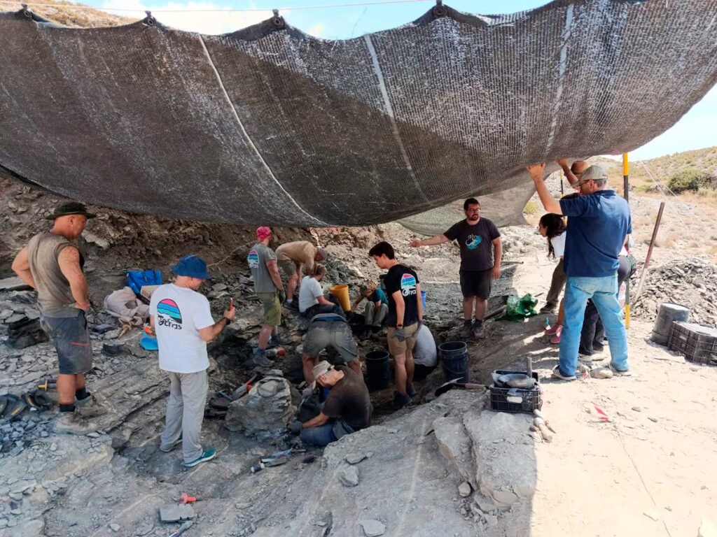 On the trail of a new dinosaur species in Spain’s premier wine region | Science