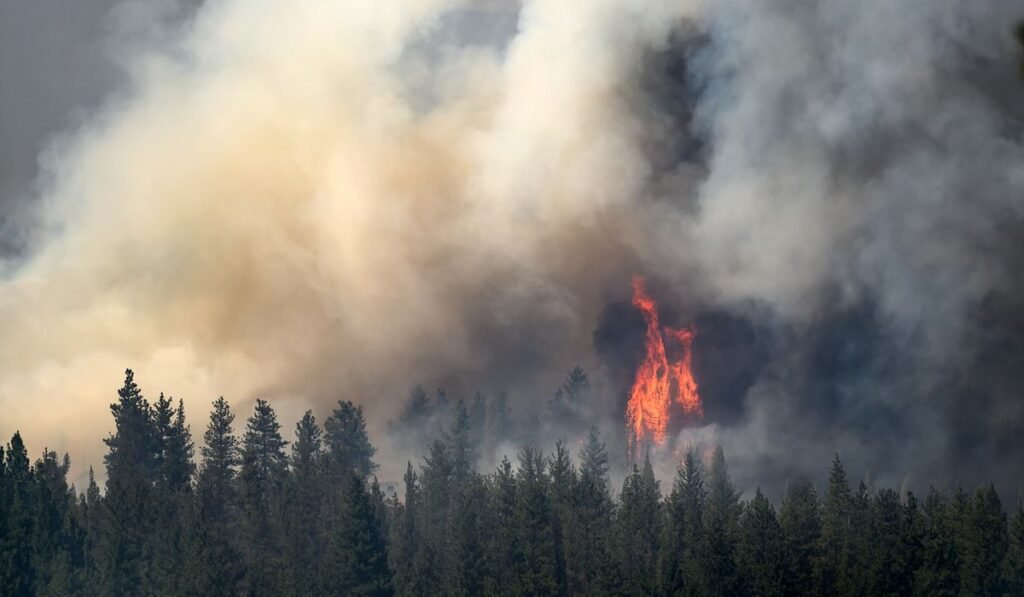 Oregon fire looms near town as 4th firefighter dies weeks after Colorado blaze Oregon fire looms near town as 4th firefighter dies weeks after Colorado blaze