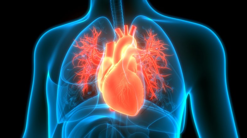 Phase 3 Failure Keeps AstraZeneca and Ionis Out of a Growing Heart Disease Market Phase 3 Failure Keeps AstraZeneca and Ionis Out of a Growing Heart Disease Market