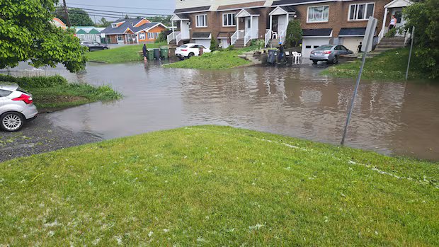 Proposed class actions target City of Montreal, West Island suburbs, after floods Proposed class actions target City of Montreal, West Island suburbs, after floods