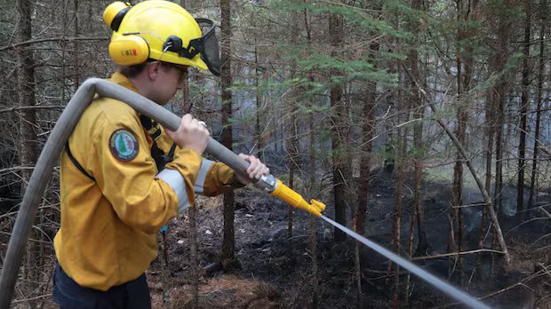 Province says Eastern Shore wildfire now being held; residents allowed to return home Province says Eastern Shore wildfire now being held; residents allowed to return home