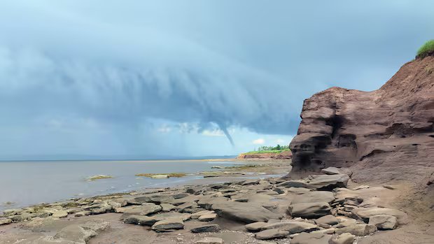‘Pure excitement’: Islanders describe spotting tornado off coast of P.E.I. 'Pure excitement': Islanders describe spotting tornado off coast of P.E.I.