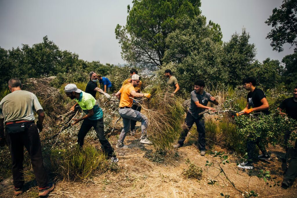 Race against time in Spain’s wildfire battle: 24 critical hours before the heat wave | Spain