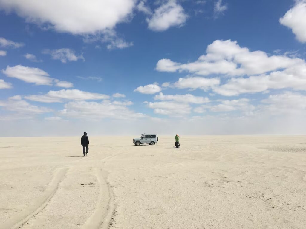 Refilling the Aral Sea: A Spanish scientific proposal to avoid releasing millions of tons of CO₂ | Science Refilling the Aral Sea: A Spanish scientific proposal to avoid releasing millions of tons of CO₂ | Science