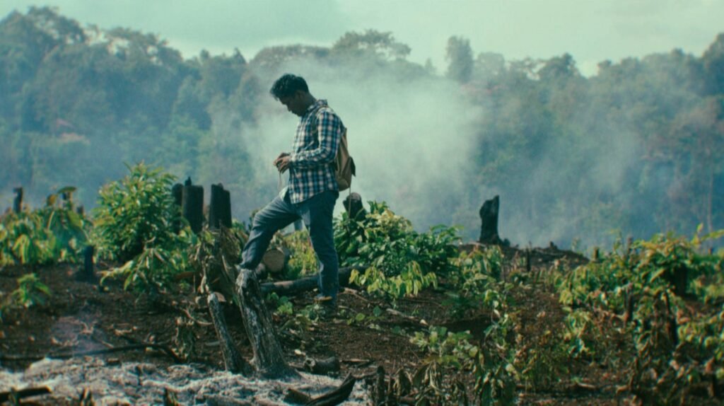Review: Homo Sive Natura - Cineuropa