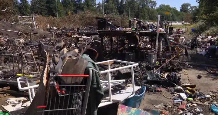 Richmond homeless encampment now deemed ‘hazardous site’ after fire – BC Richmond homeless encampment now deemed ‘hazardous site’ after fire - BC