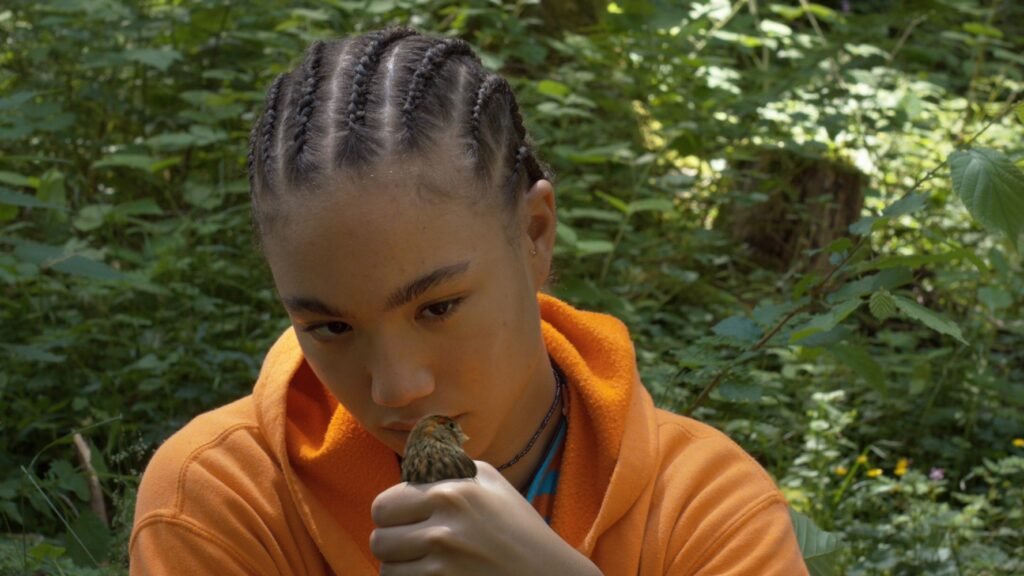 Sarah Leonor’s D’ici là will vie for the Golden Leopard in Locarno Sarah Leonor’s D’ici là will vie for the Golden Leopard in Locarno