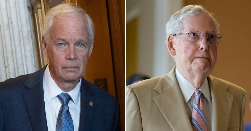 Sen. Ron Johnson Makes Shock Claim About Mitch McConnell Sen. Ron Johnson Makes Shock Claim About Mitch McConnell