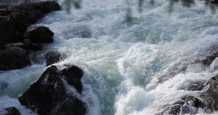 Swimmer still missing after being swept away by river in B.C. park – BC Swimmer still missing after being swept away by river in B.C. park - BC