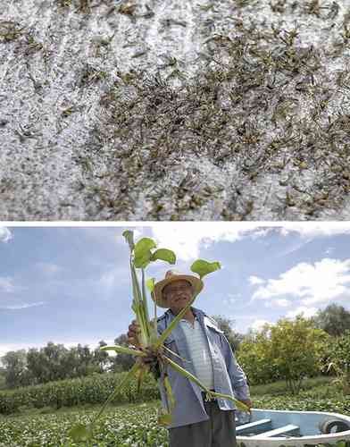 Tardará unos 12 años revertir la catástrofe en la presa Endhó Tardará unos 12 años revertir la catástrofe en la presa Endhó