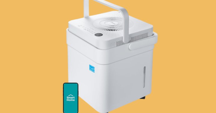 The Curator: Your guide to mold & mildew prevention & protection – National The Curator: Your guide to mold & mildew prevention & protection - National