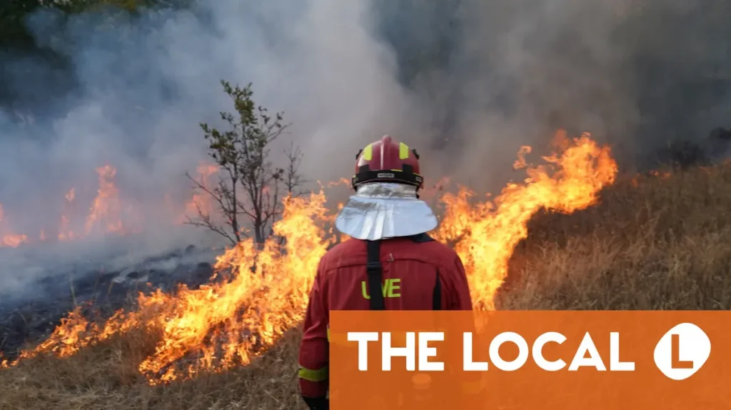 Twelve dead in wildfire in southern Spain Twelve dead in wildfire in southern Spain