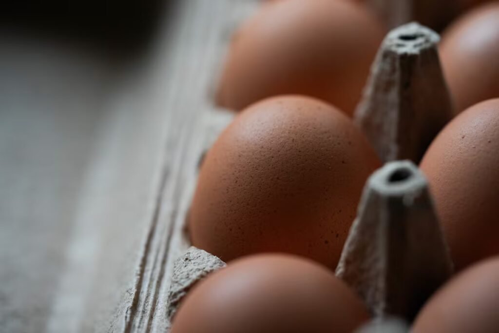 US recalls over 19 million eggs due to salmonella outbreak that has caused illness in nearly 100 people | U.S.