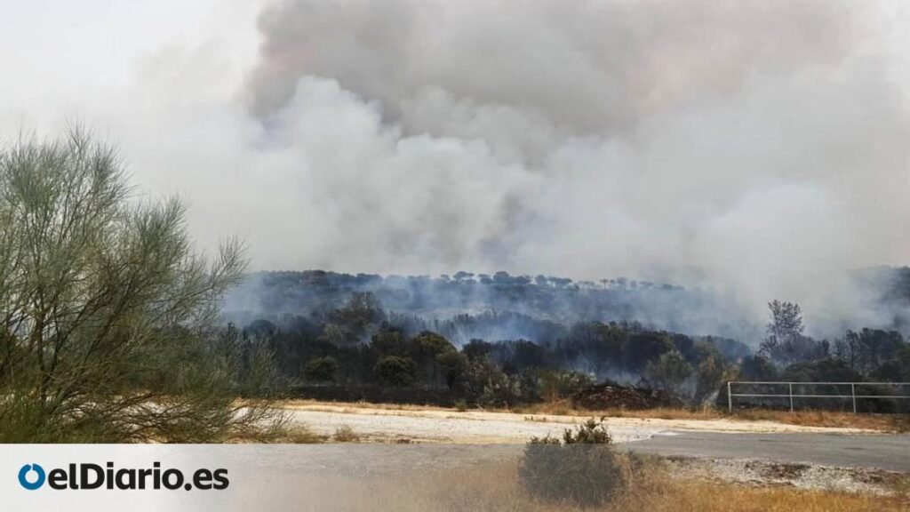 Un incendio en Lozoyuela fuerza el envío de un Es-Alert pidiendo confinar varias localidades de la sierra de Madrid Un incendio en Lozoyuela fuerza el envío de un Es-Alert pidiendo confinar varias localidades de la sierra de Madrid