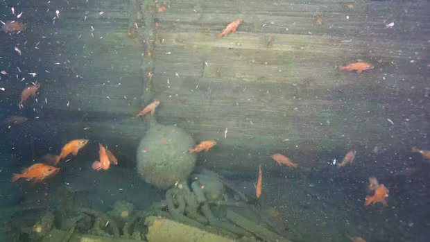 Underwater images reveal 1st look at Quest, the final ship of Antarctic explorer Ernest Shackleton Underwater images reveal 1st look at Quest, the final ship of Antarctic explorer Ernest Shackleton