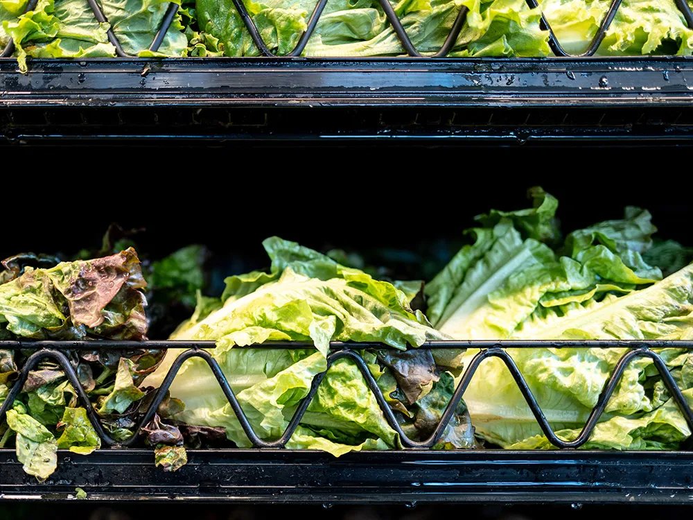 ‘Watery diarrhea’ cases surge in Quebec; Michigan investigates lettuce 'Watery diarrhea' cases surge in Quebec; Michigan investigates lettuce