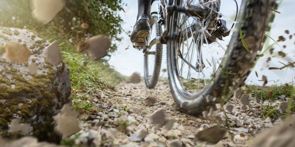 What Mountain Biking Taught Me About Building a Business What Mountain Biking Taught Me About Building a Business