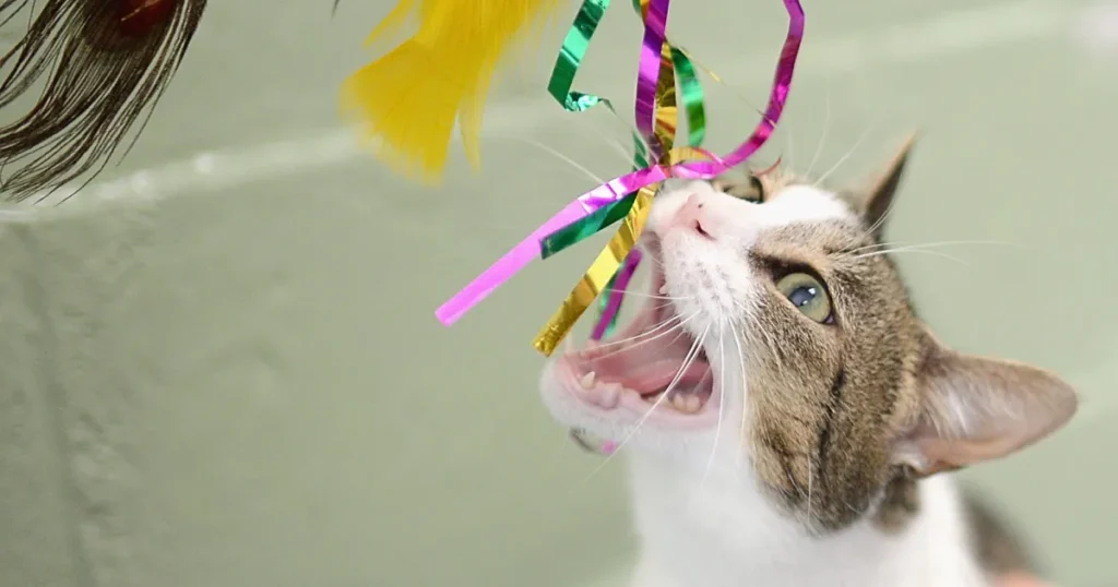 What Veterinarians Now Want Pet Owners to Know What Veterinarians Now Want Pet Owners to Know