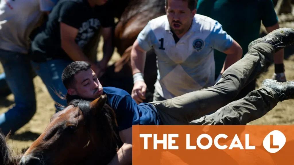 Why men wrestle horses at Spain's 'Shearing of the Beasts'