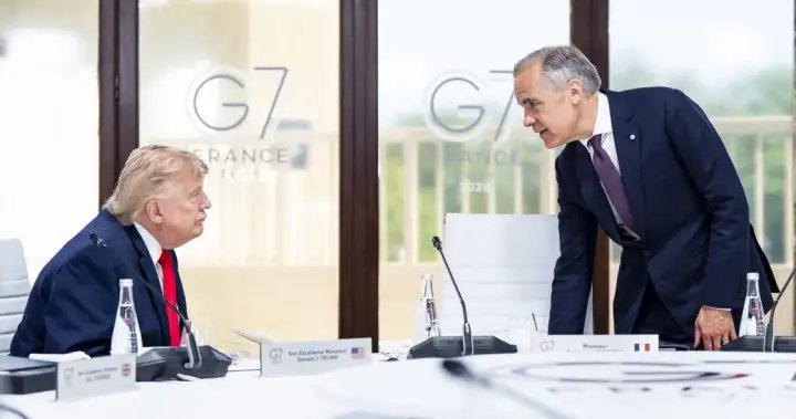 ‘Cost of drama is too high,’ expert says as NATO leaders meet in Turkey – National ‘Cost of drama is too high,’ expert says as NATO leaders meet in Turkey - National