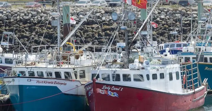 N.S. fishers plan appeal after court dismisses lobster treaty rights case – Halifax N.S. fishers plan appeal after court dismisses lobster treaty rights case - Halifax