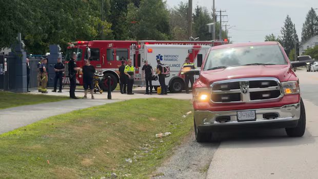 3-year-old girl hospitalized after Maple Ridge, B.C., bear attack 3-year-old girl hospitalized after Maple Ridge, B.C., bear attack