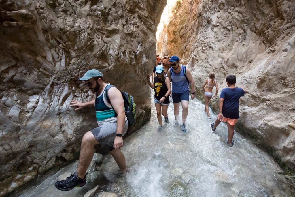 Andalusia’s rivers are being destroyed by tourism: ‘You don’t see anything, it’s all dead’ | Spain Andalusia’s rivers are being destroyed by tourism: ‘You don’t see anything, it’s all dead’ | Spain