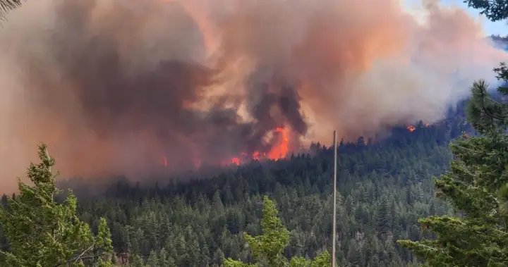 B.C. offering free N95 masks for B.C. Interior as wildfire smoke persists B.C. offering free N95 masks for B.C. Interior as wildfire smoke persists
