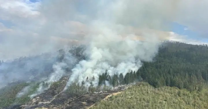 B.C. wildfires continue to flare up, with almost 30 added in past 24 hours B.C. wildfires continue to flare up, with almost 30 added in past 24 hours
