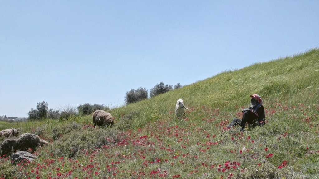 Concrete Land Review (2026 Locarno Film Festival) Concrete Land Review (2026 Locarno Film Festival)