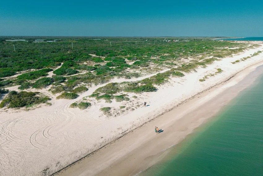 Construction on 14-tower tourist project on Yucatán’s coast halted Construction on 14-tower tourist project on Yucatán's coast halted
