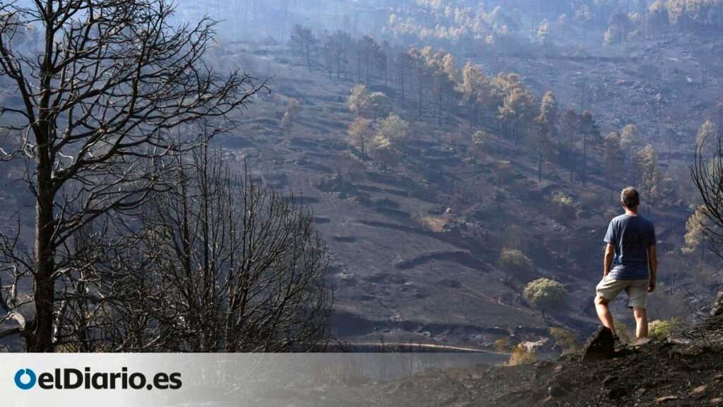 Controlado tres semanas después el incendio de Ávila que deja más de 50.000 hectáreas quemadas Controlado tres semanas después el incendio de Ávila que deja más de 50.000 hectáreas quemadas