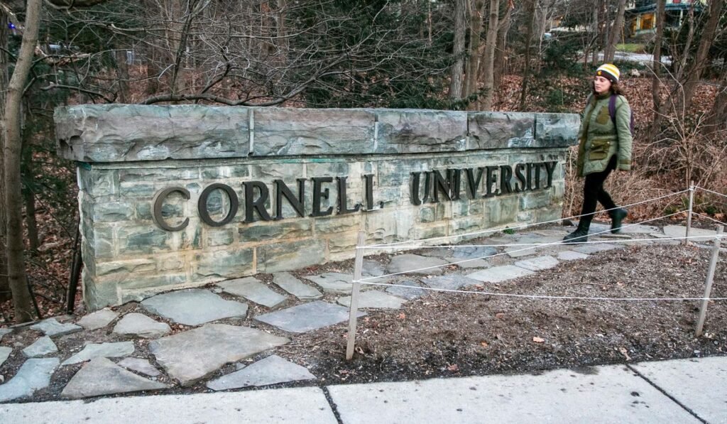 Cornell bans bear butchering in dorm kitchens after 2025 uproar Cornell bans bear butchering in dorm kitchens after 2025 uproar