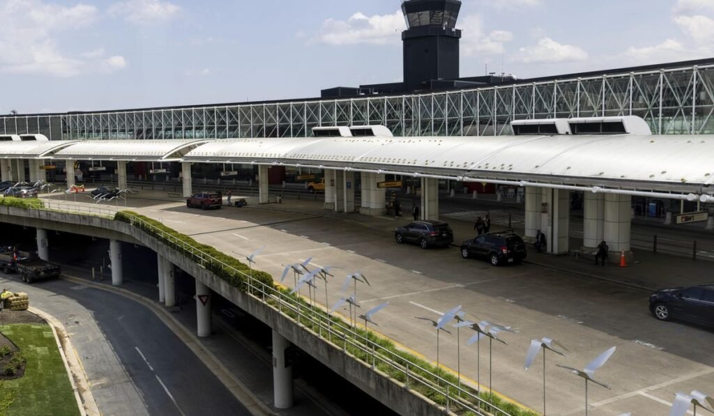 Customs agents at BWI seize mounds of khat stimulant Customs agents at BWI seize mounds of khat stimulant